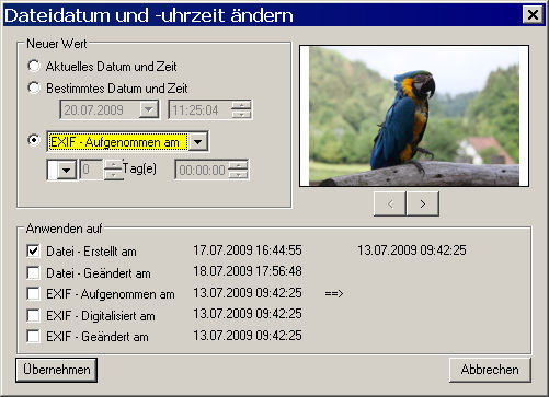 XnView: Dialog Datum